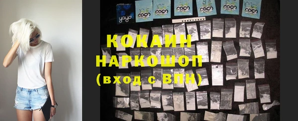 индика Медногорск