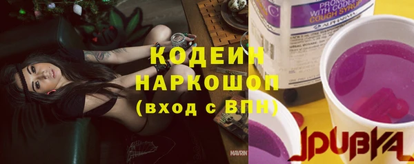 индика Медногорск