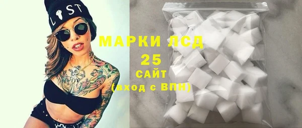 индика Медногорск