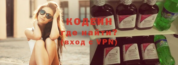 индика Медногорск