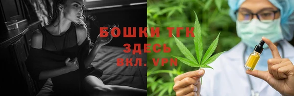 индика Медногорск