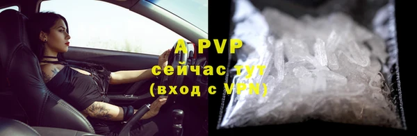 индика Медногорск