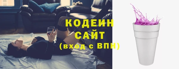 индика Медногорск