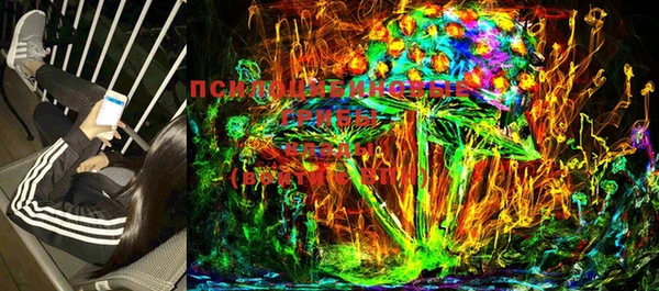 мет Медвежьегорск