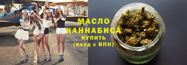 индика Медногорск