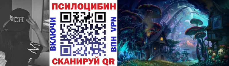 сколько стоит  Кисловодск  даркнет официальный сайт  Псилоцибиновые грибы Cubensis 